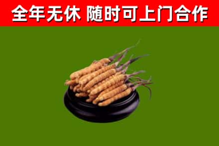 忻府区烟酒回收冬虫夏草.jpg